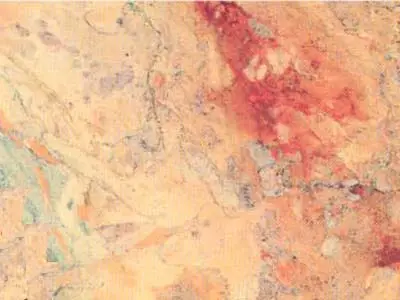 Sarrancolin limestone polished sample – Marmi di Carrara – beige, ivory (1)