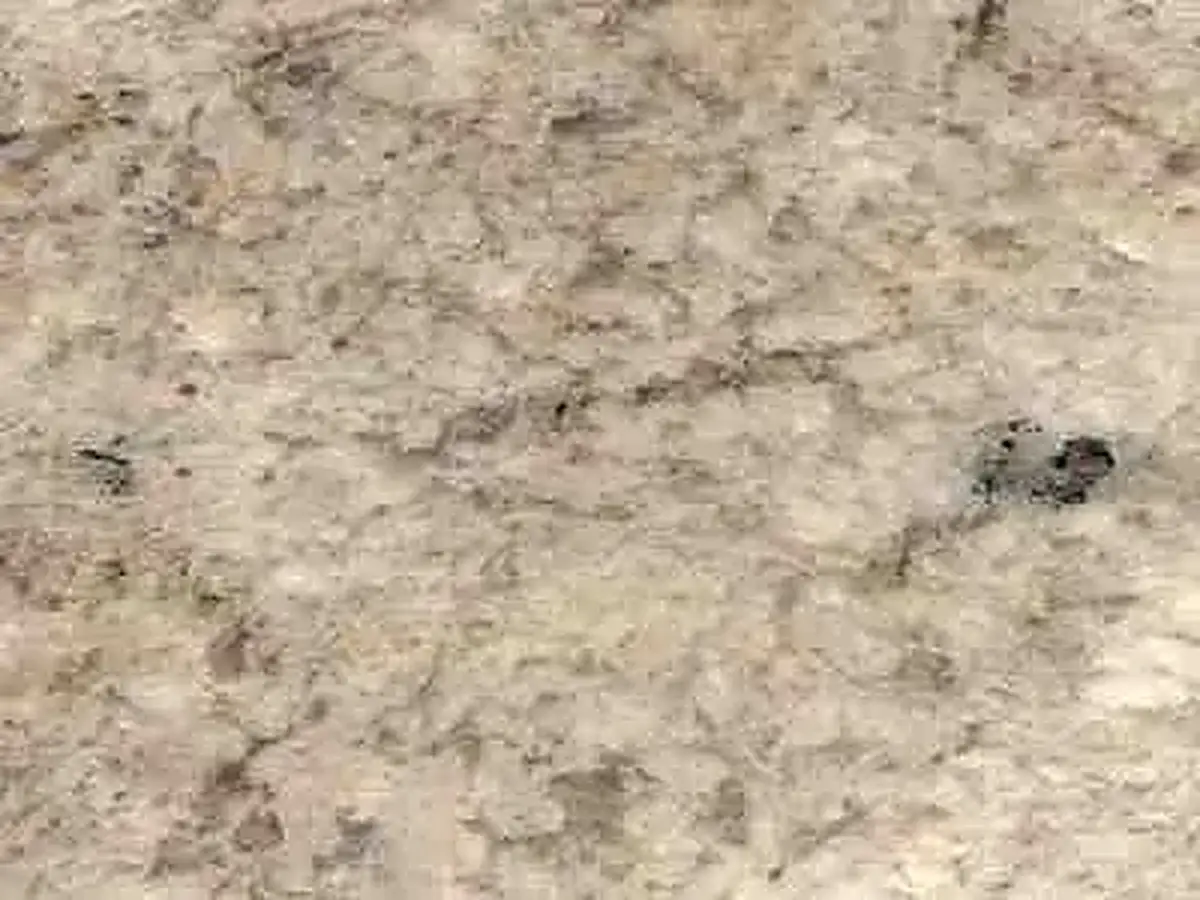 Sausalito granite polished sample – Marmi di Carrara – beige, grey (1)