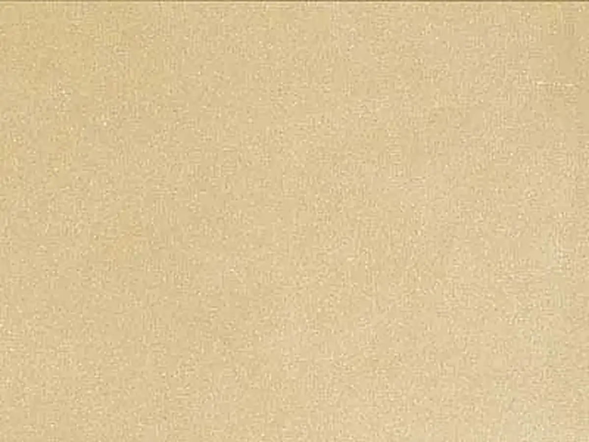 Schleerith arenaria, campione lucido – Marmi di Carrara – beige (1)