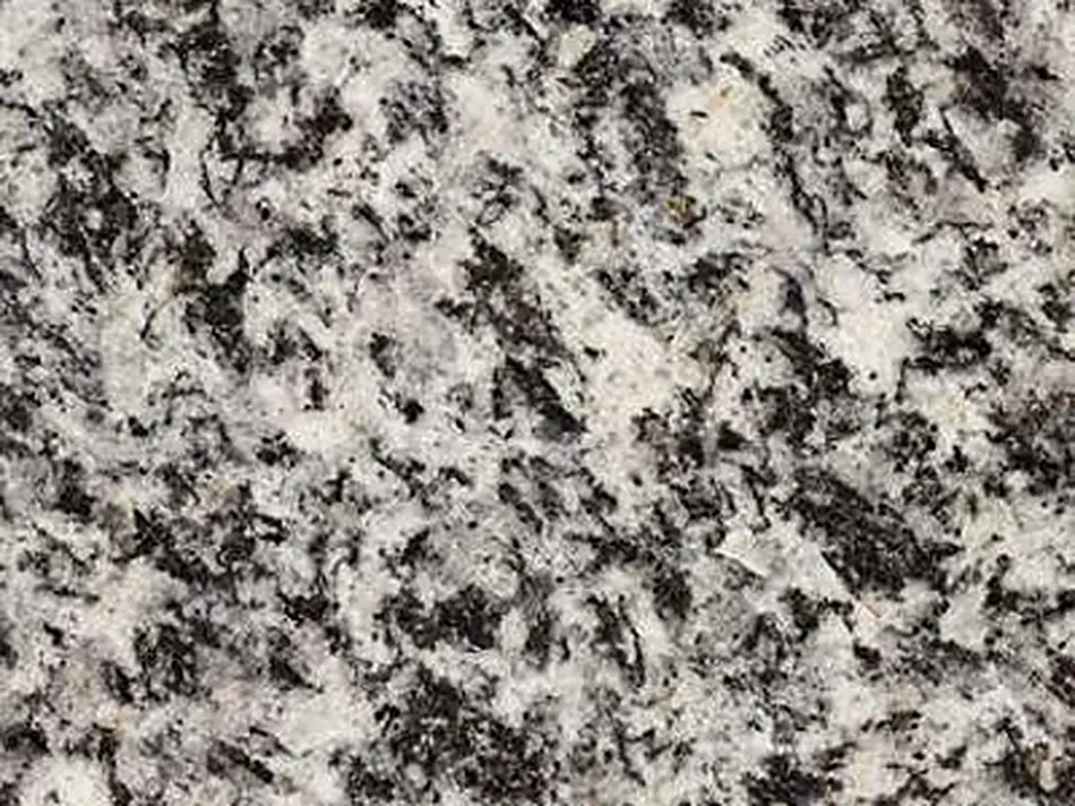 Serizzo Antigorio Chiaro granite polished sample – Marmi di Carrara – grey, light grey (1)