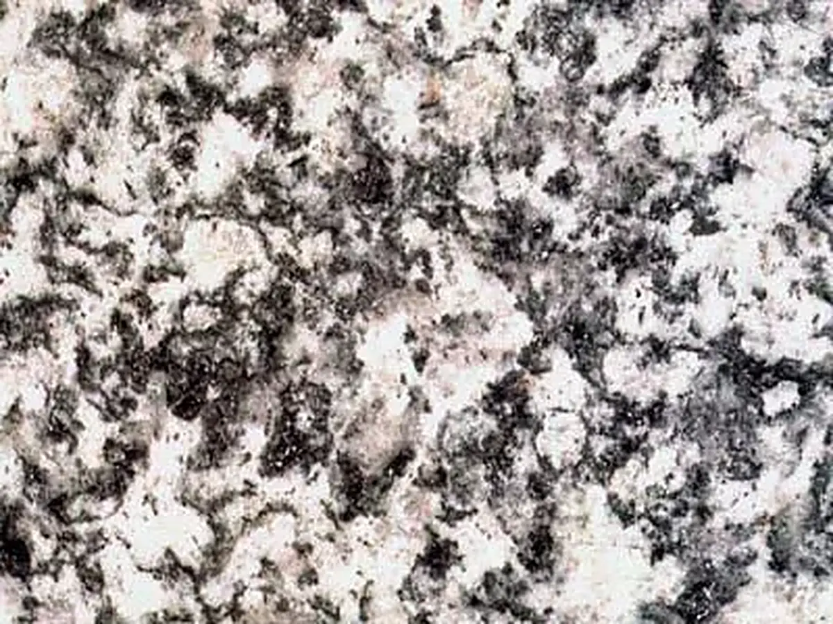 Serizzo Formazza granite polished sample – Marmi di Carrara – grey, charcoal (1)