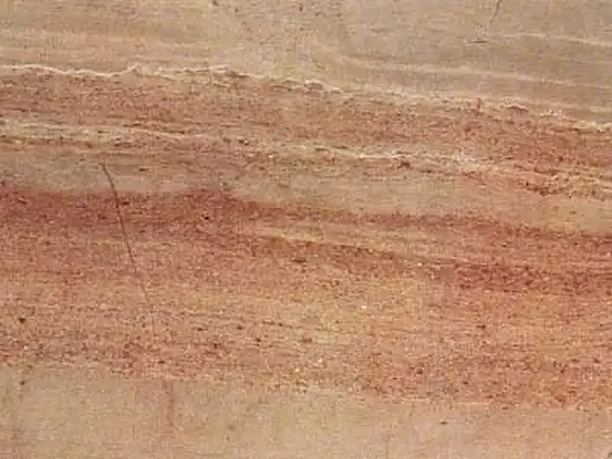 Serpeggiante MS limestone polished sample – Marmi di Carrara – gold, beige (1)