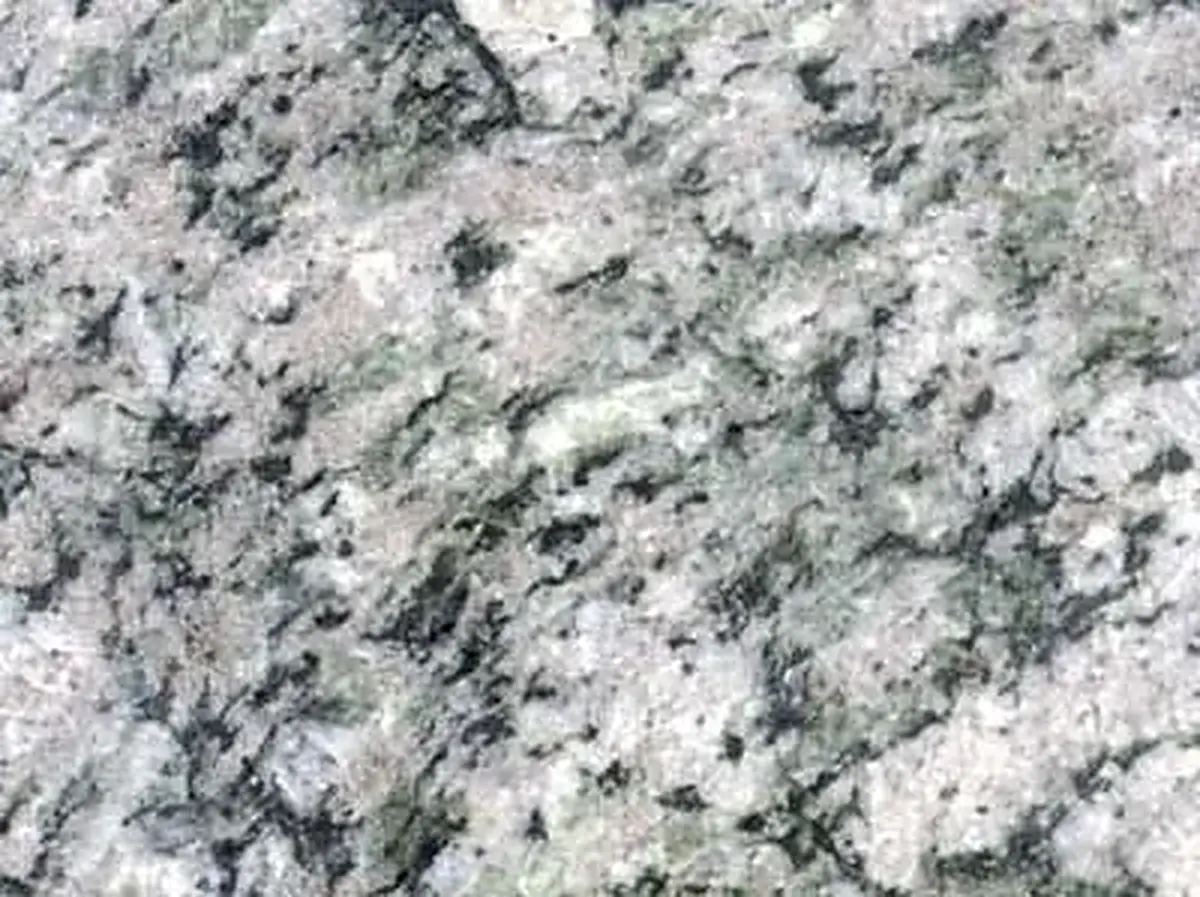 Shi Gu Luh granito, campione lucido – Marmi di Carrara – grigio, grigio chiaro (1)