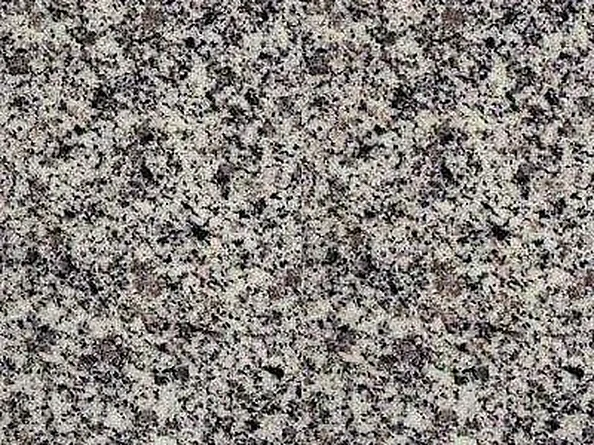 Sierra White granite polished sample – Marmi di Carrara – grey, beige (1)