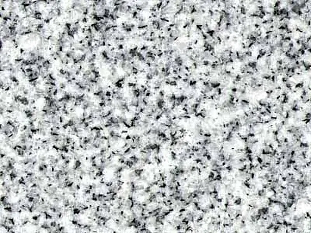 Silver Platina granito, campione lucido – Marmi di Carrara – grigio chiaro, grigio (1)