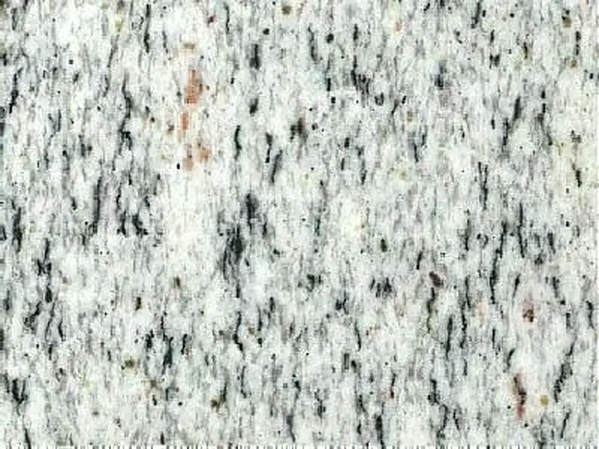 Solar White granit, échantillon poli – Marmi di Carrara – ivoire, gris clair (1)