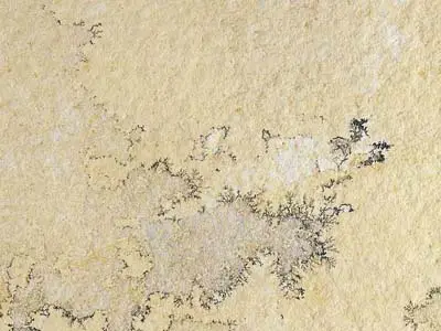 Solnhofen Stone limestone polished sample – Marmi di Carrara – beige, ivory (1)