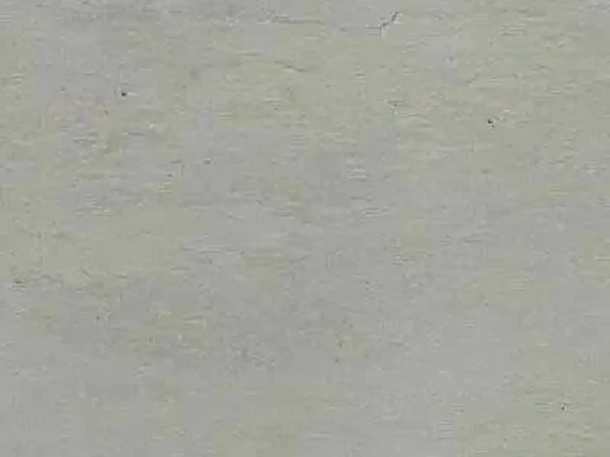 Southern White slate polished sample – Marmi di Carrara – beige, grey (1)