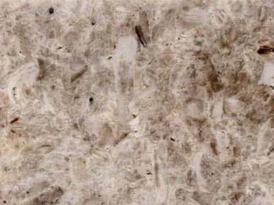 Spuma di Mare calcare, campione lucido – Marmi di Carrara – grigio, beige (1)