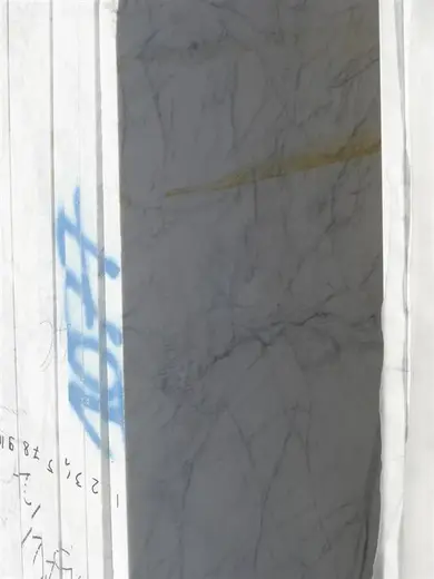 Statuarietto marble surface detail – Marmi di Carrara – light grey, grey (19)
