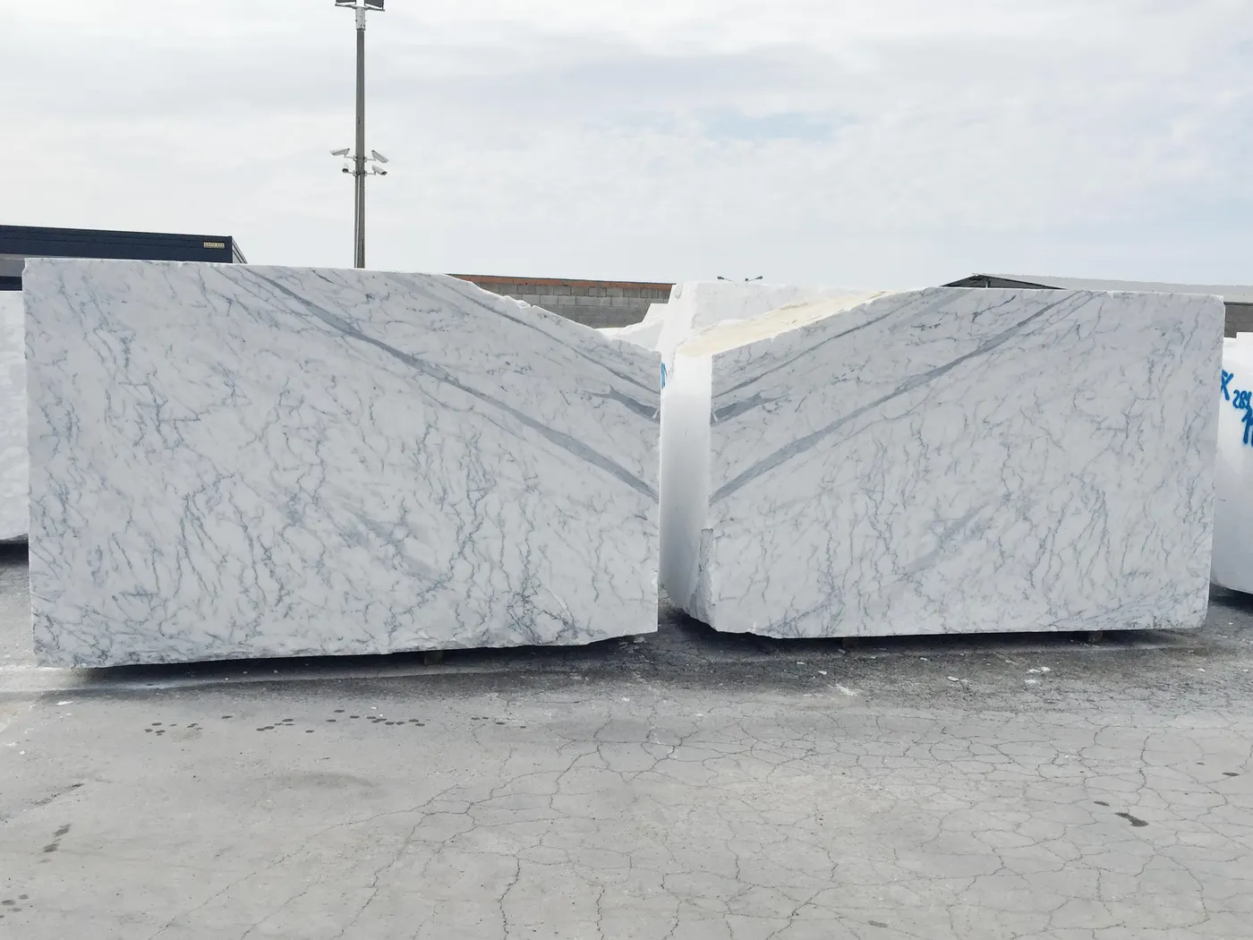 Statuarietto mármol, superficie de losa – Marmi di Carrara – gris claro, blanco (7)