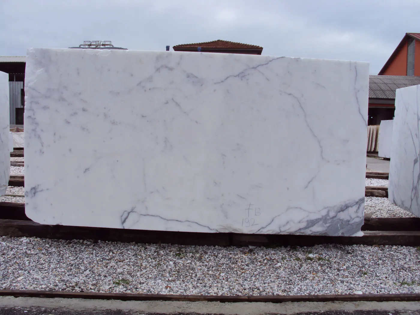 Statuario marmo, superficie di lastra – Marmi di Carrara – grigio chiaro, grigio (5)