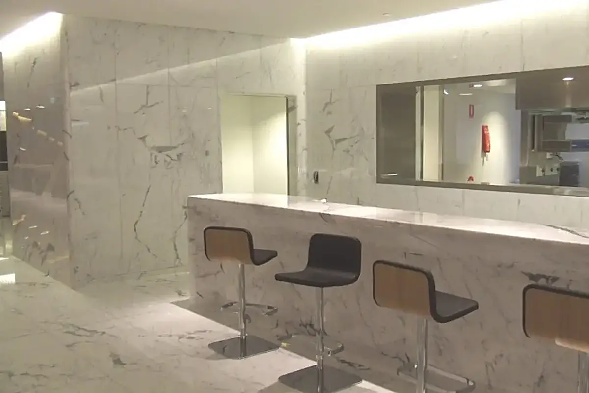 Statuario Extra marmo, superficie di lastra – Marmi di Carrara – grigio, verde (69)