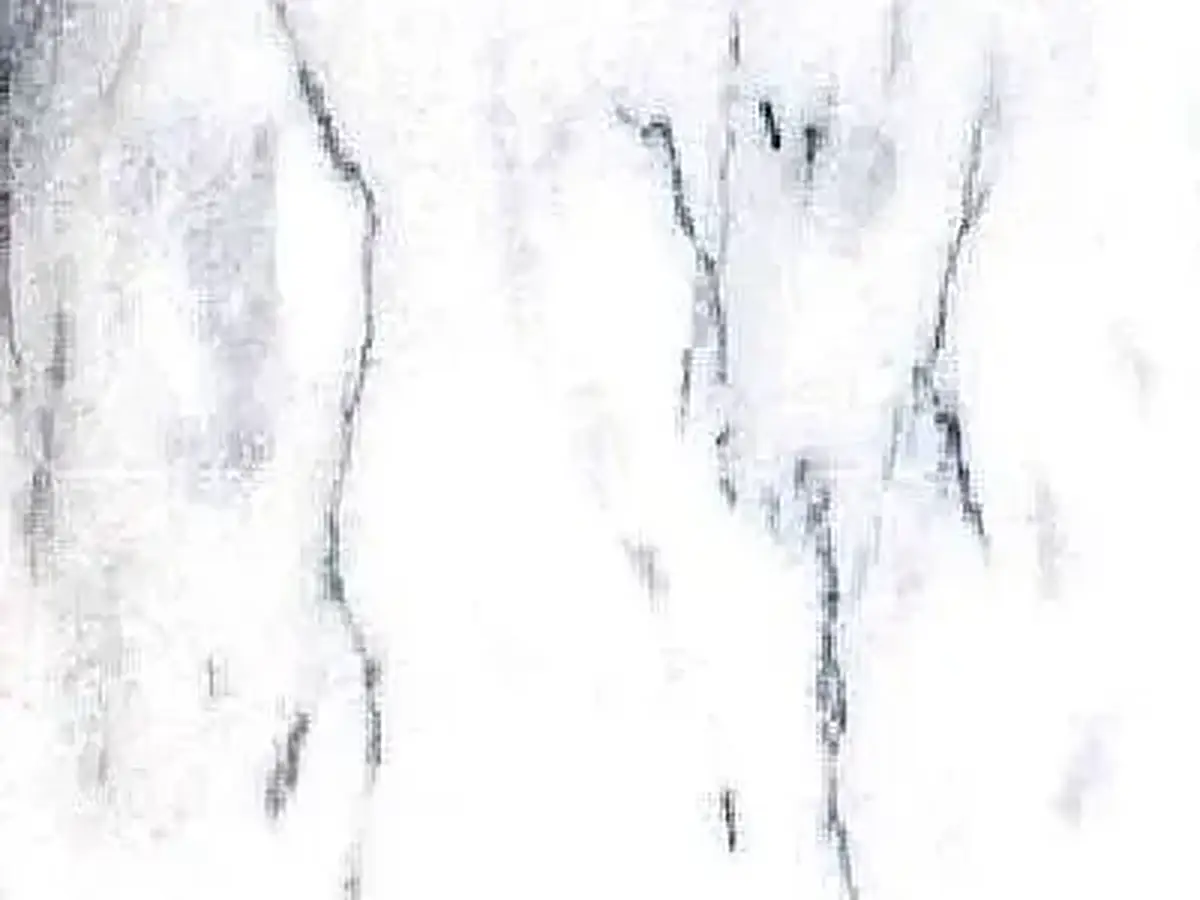 Sunny Grey marble polished sample – Marmi di Carrara – white, ivory (1)