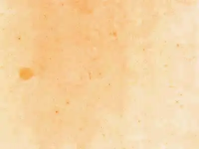 Szczytna Sandstein, polierte Probe – Marmi di Carrara – beige, elfenbein (1)
