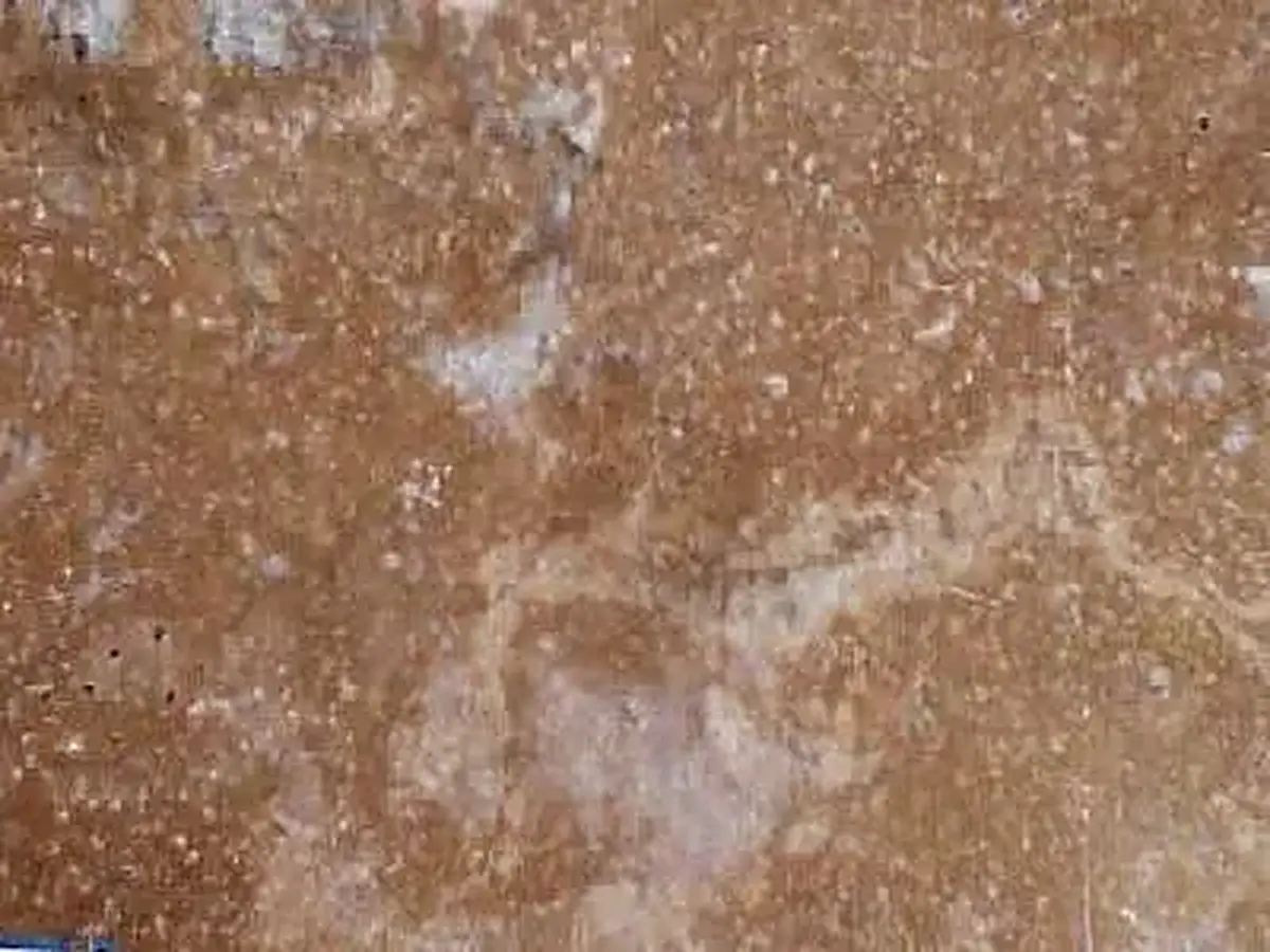 T 107 travertine polished sample – Marmi di Carrara – grey, brown (1)