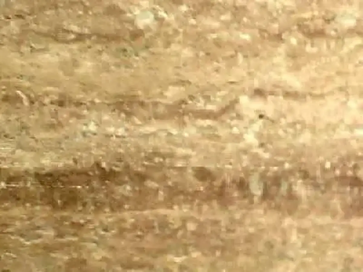 T 110 travertine polished sample – Marmi di Carrara – beige, gold (1)