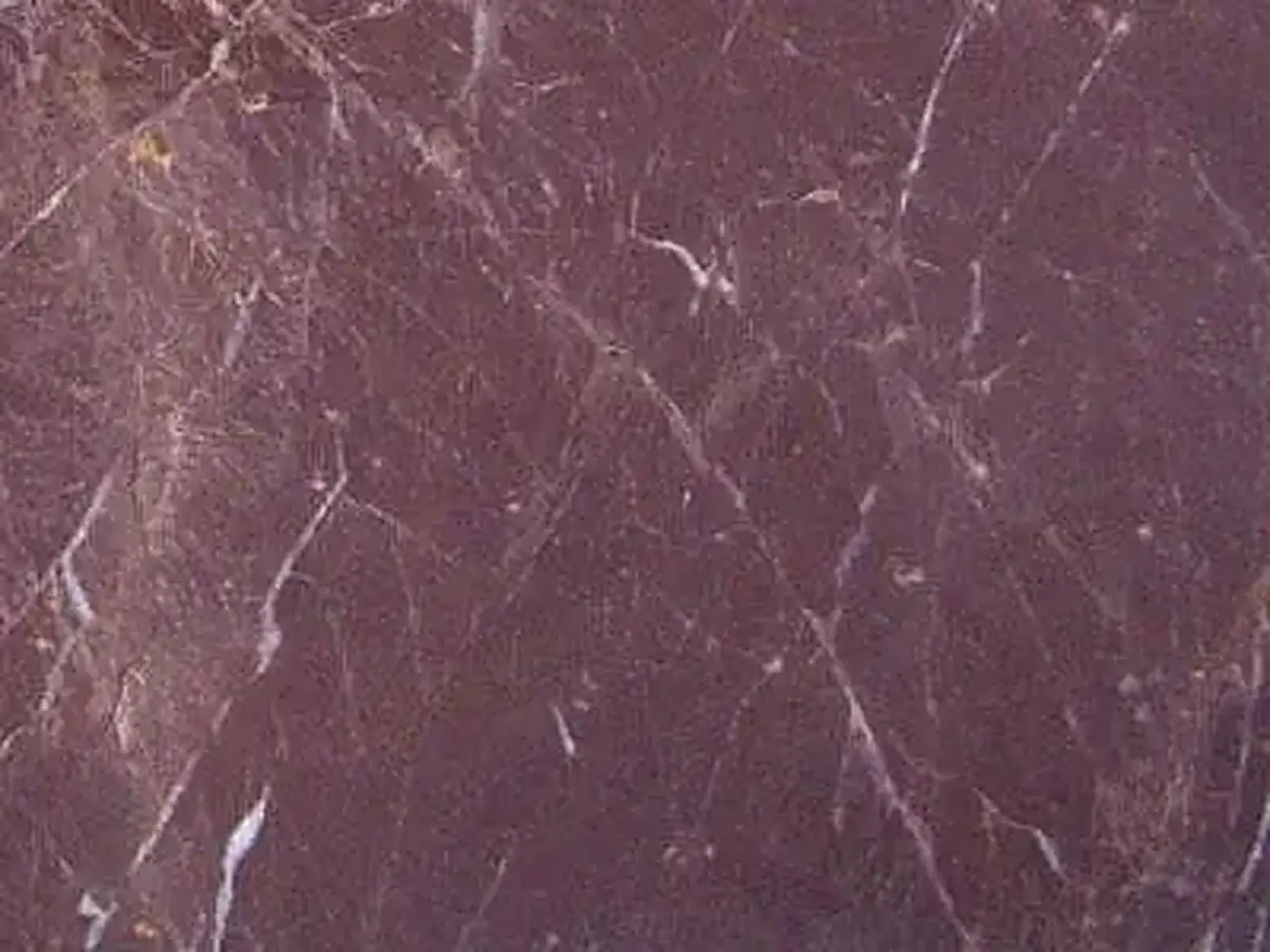 Taurus Dove Feather calcaire, échantillon poli – Marmi di Carrara – brun, violet (1)