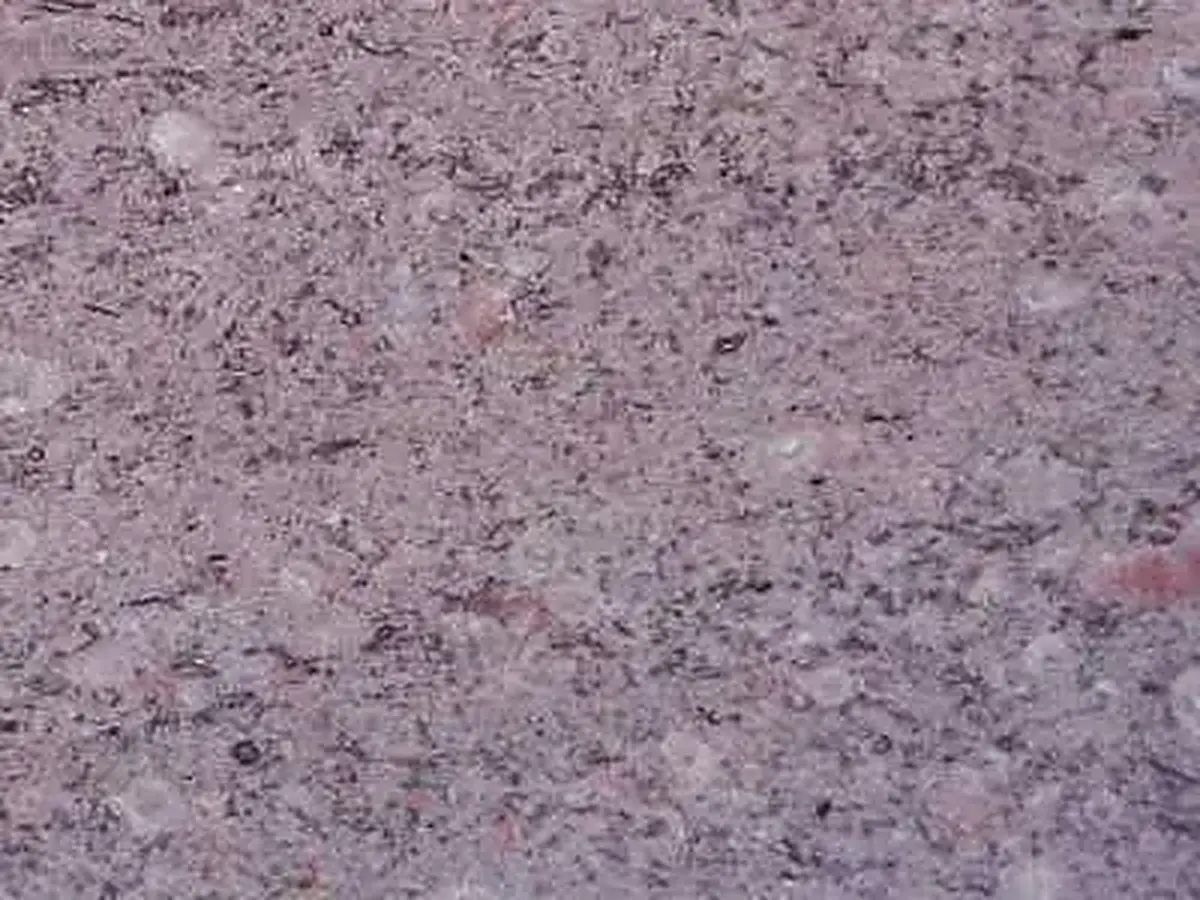 Taurus Grey calcaire, échantillon poli – Marmi di Carrara – gris (1)