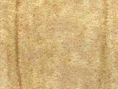 Teak sandstone polished sample – Marmi di Carrara – beige, gold (1)