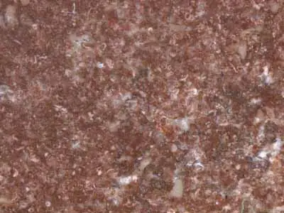 Tennesse Cedar limestone