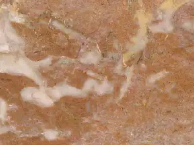 Tennessee Fleuri limestone