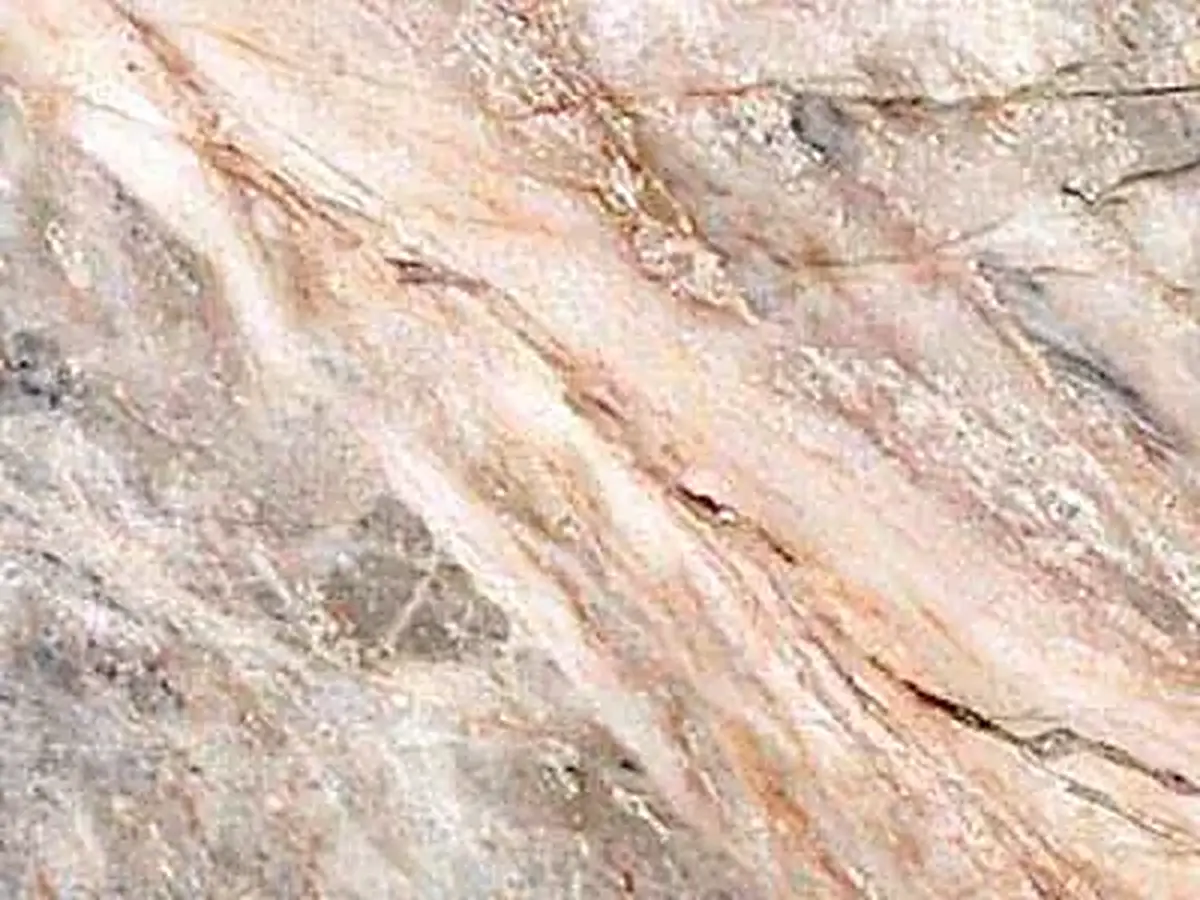 Tepeaca Rose limestone polished sample – Marmi di Carrara – beige, ivory (1)