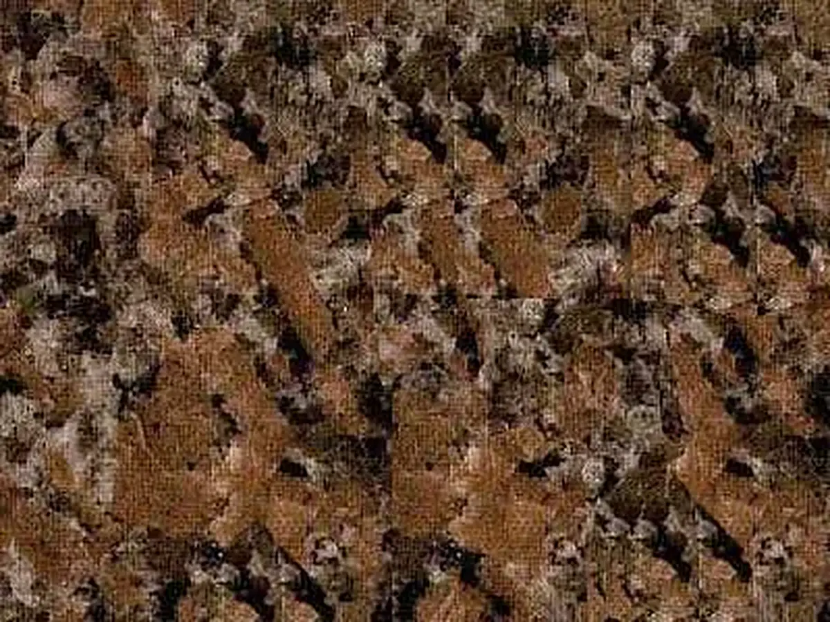 Texas Red Granit, polierte Probe – Marmi di Carrara – braun, schwarz (1)