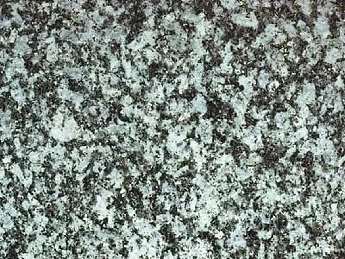 Thanstein granite polished sample – Marmi di Carrara – grey, light grey (1)