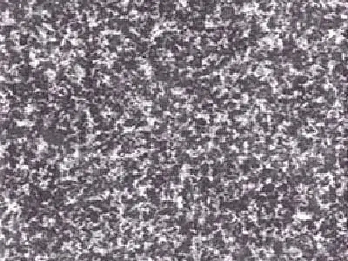 Tiger Black granito, campione lucido – Marmi di Carrara – grigio, grigio chiaro (1)
