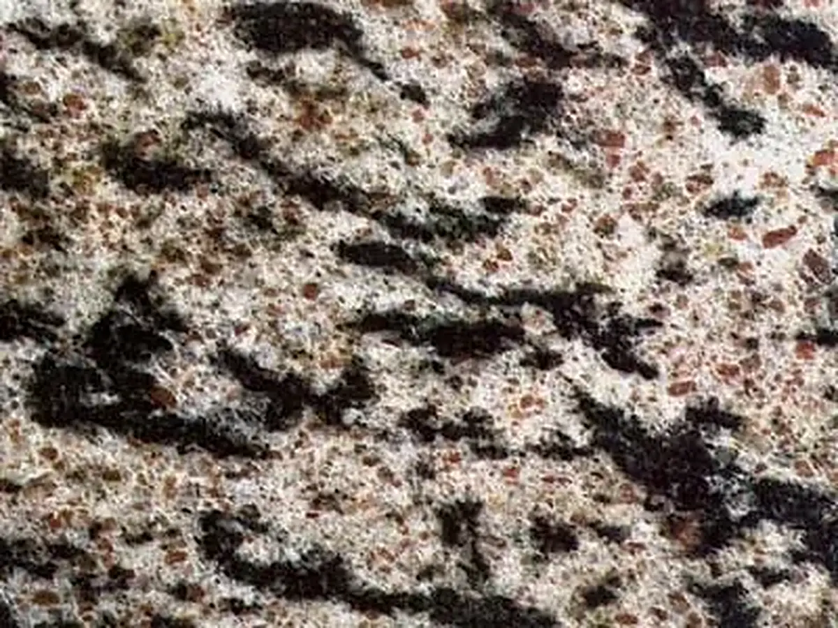 Tiger White granite polished sample – Marmi di Carrara – black, grey (1)