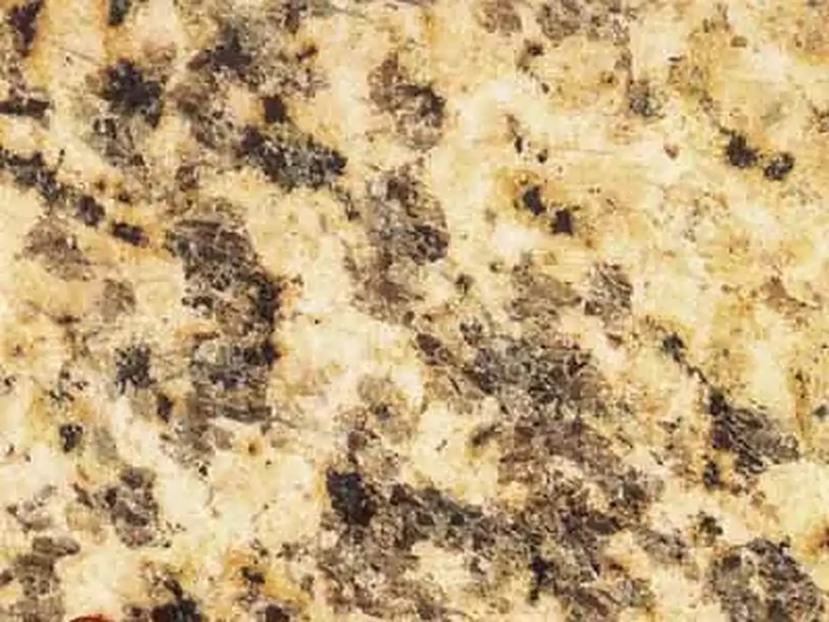 Tiger Yellow G 887 granite polished sample – Marmi di Carrara – beige, gold (1)