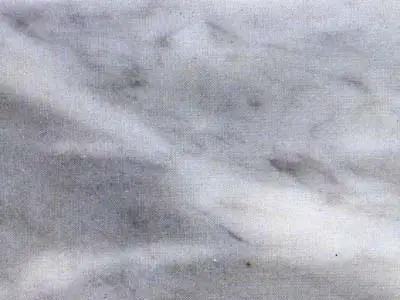 Trambiserra marble polished sample – Marmi di Carrara – light grey, grey (1)
