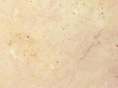 Trani Chiaro limestone polished sample – Marmi di Carrara – ivory, beige (1)