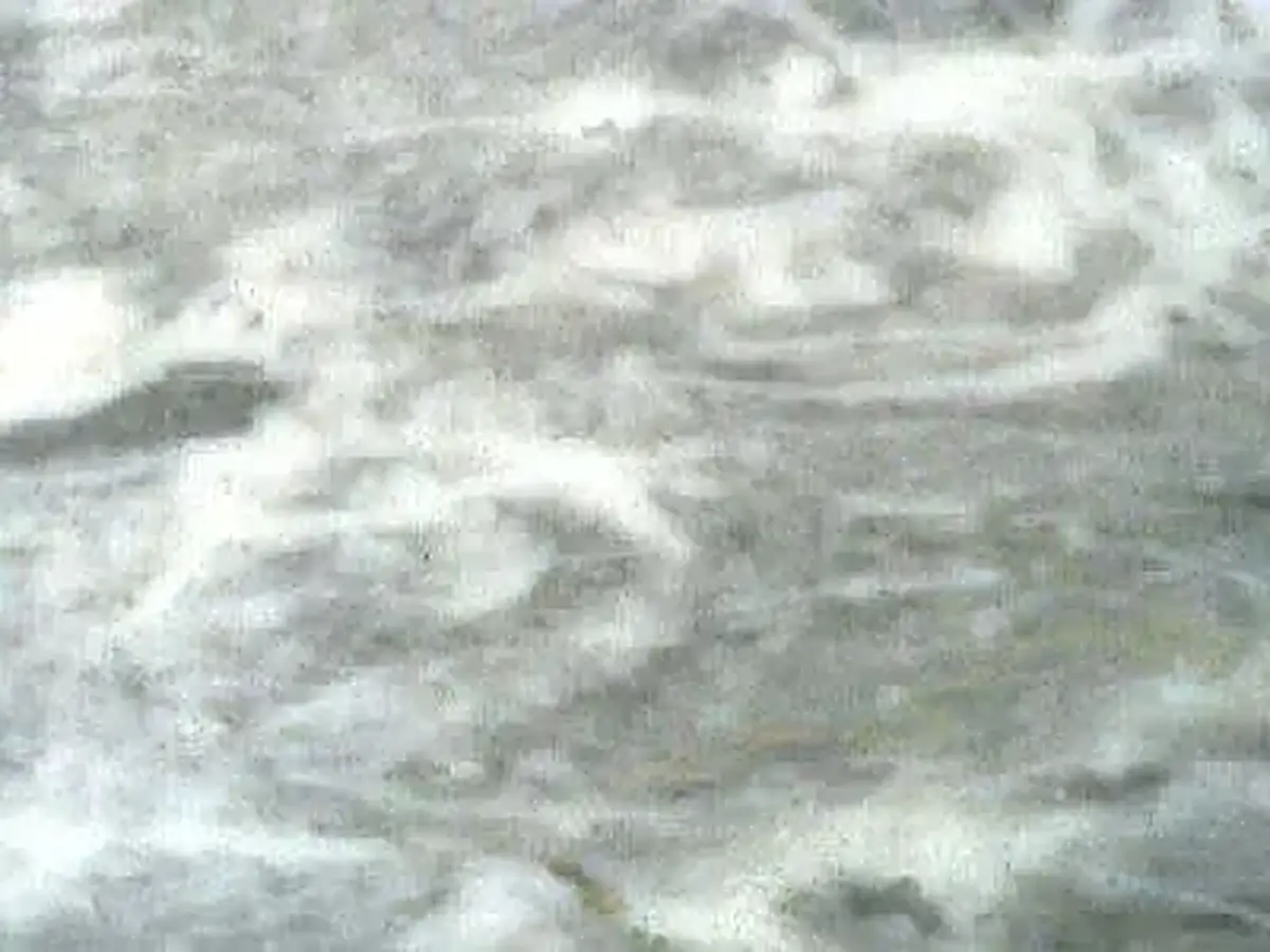 Tranovaltos Semi White marble polished sample – Marmi di Carrara – light grey, grey (1)