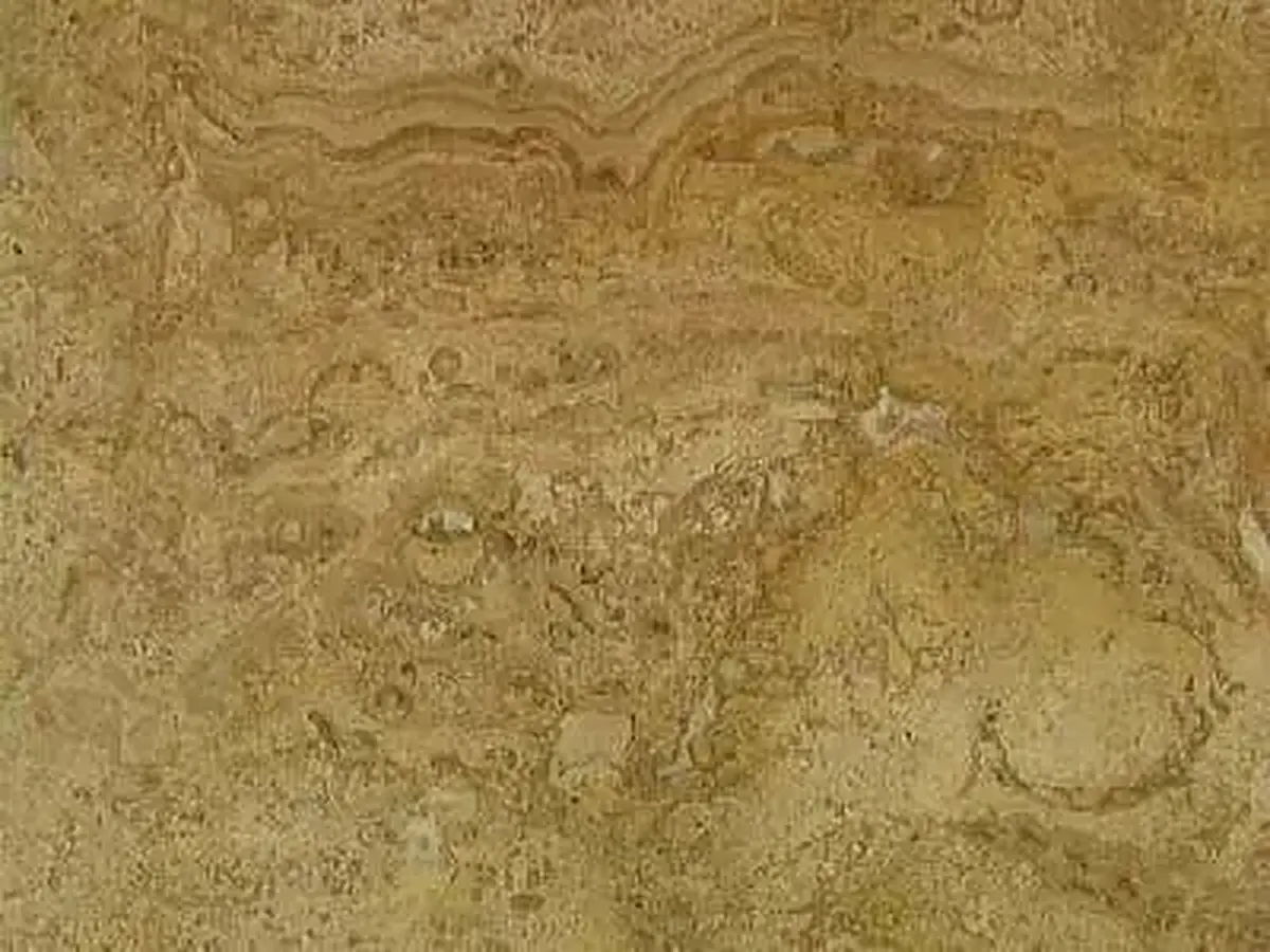Travertine of Skra travertine polished sample – Marmi di Carrara – gold, brown (1)