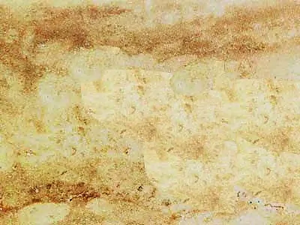 Travertino Iberico Travertin, polierte Probe – Marmi di Carrara – beige, gold (1)