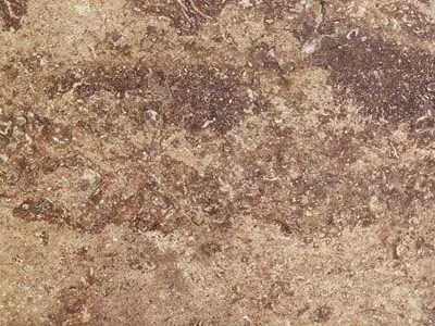 Travertino Noce travertine