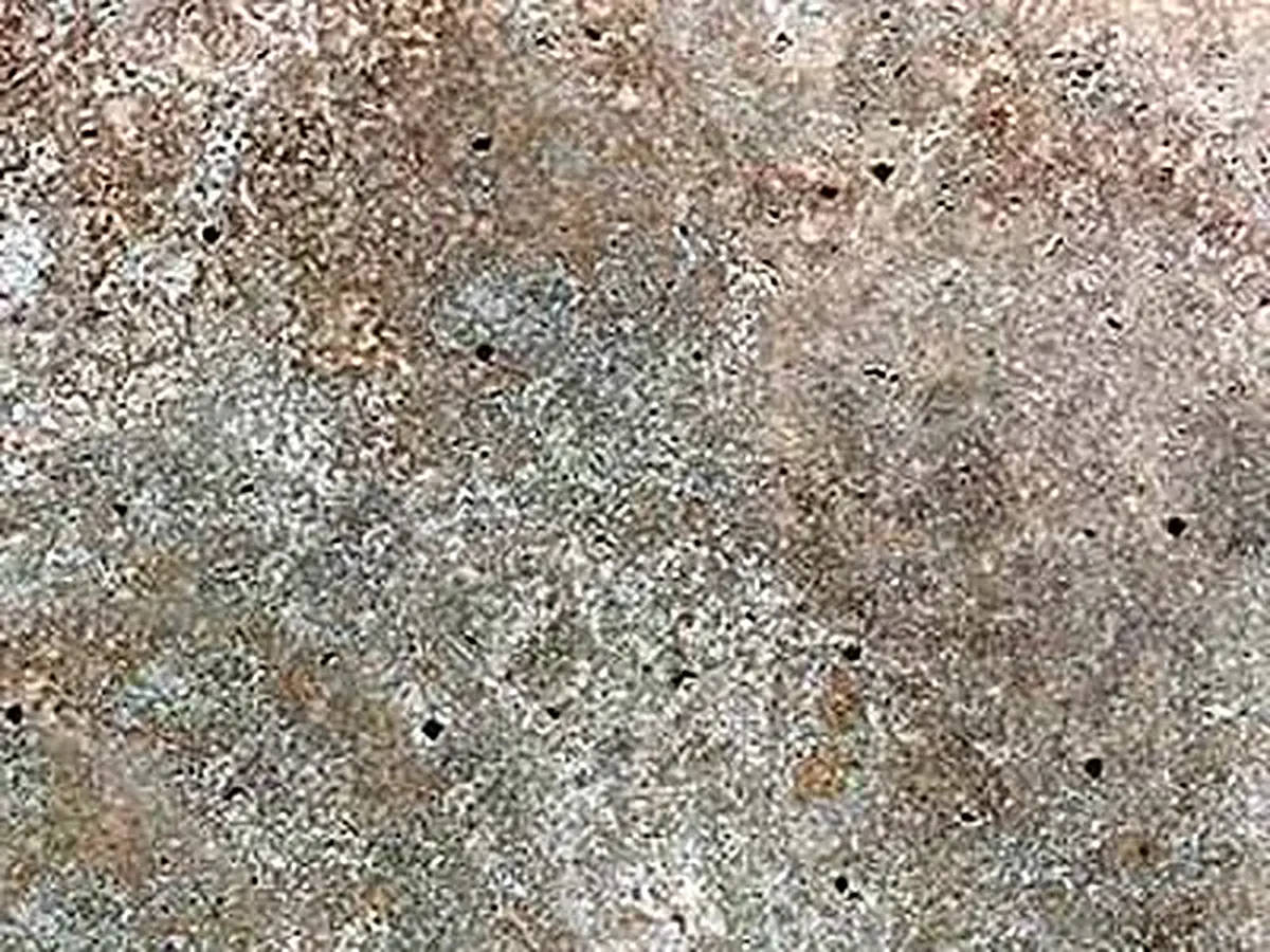 Travertino Olivo travertino, muestra pulida – Marmi di Carrara – gris, beige (1)