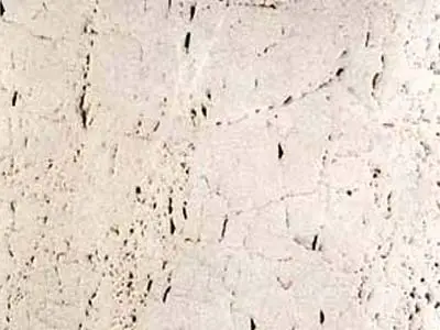 Travertino Real Travertin, polierte Probe – Marmi di Carrara – elfenbein, weiß (1)