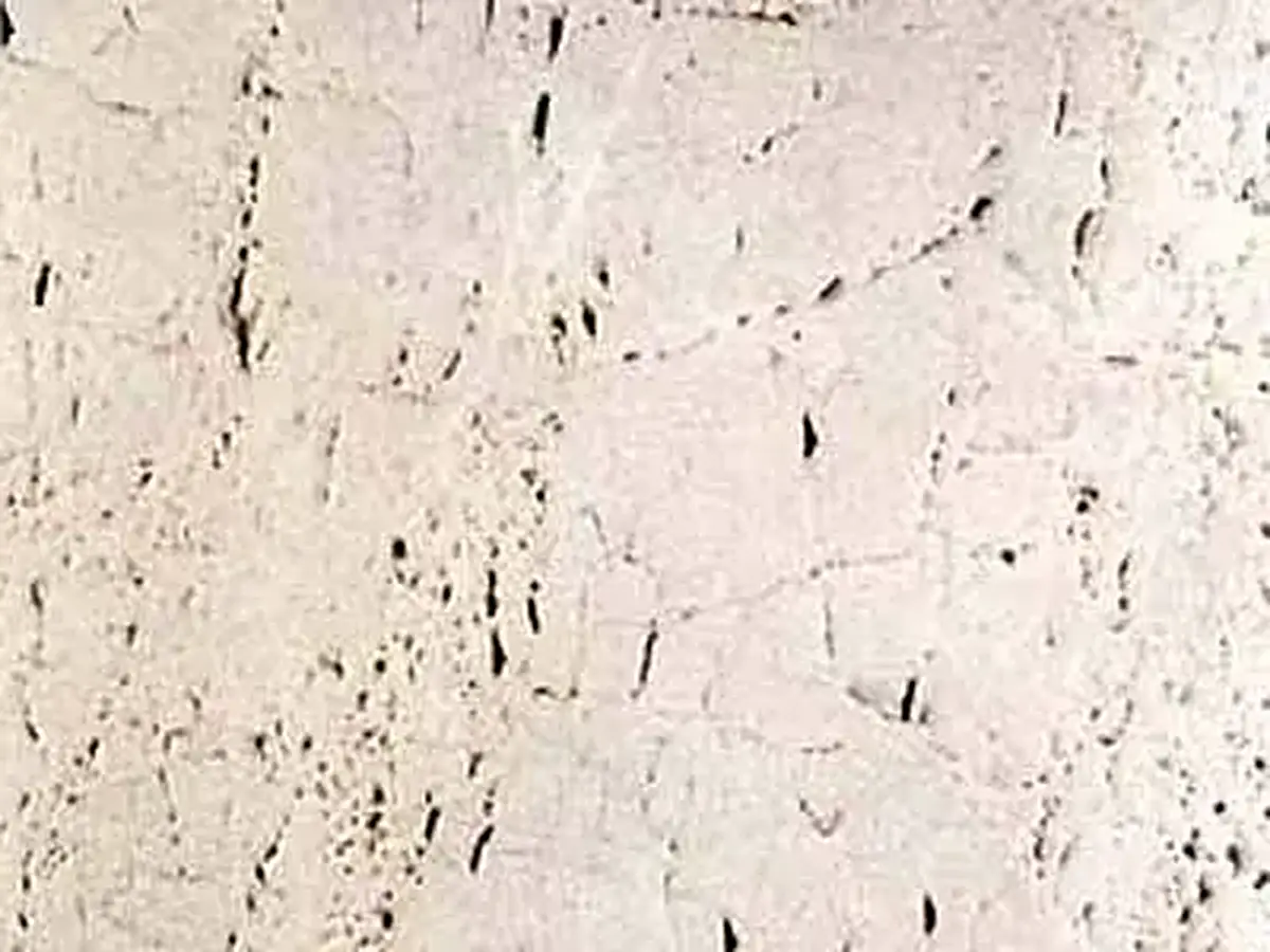 Travertino Real Travertin, polierte Probe – Marmi di Carrara – elfenbein, weiß (1)