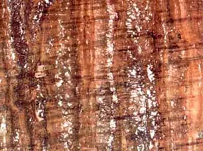Travertino Rojo travertine