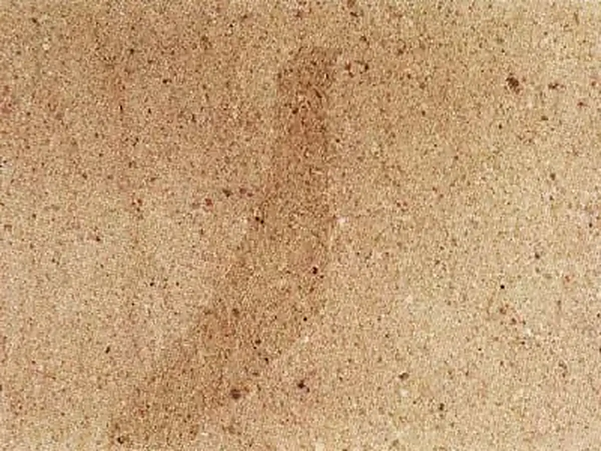 Trebgast grès, échantillon poli – Marmi di Carrara – beige, doré (1)