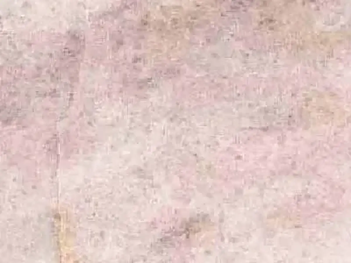 Trilogy Pink marbre, échantillon poli – Marmi di Carrara – ivoire, gris clair (1)