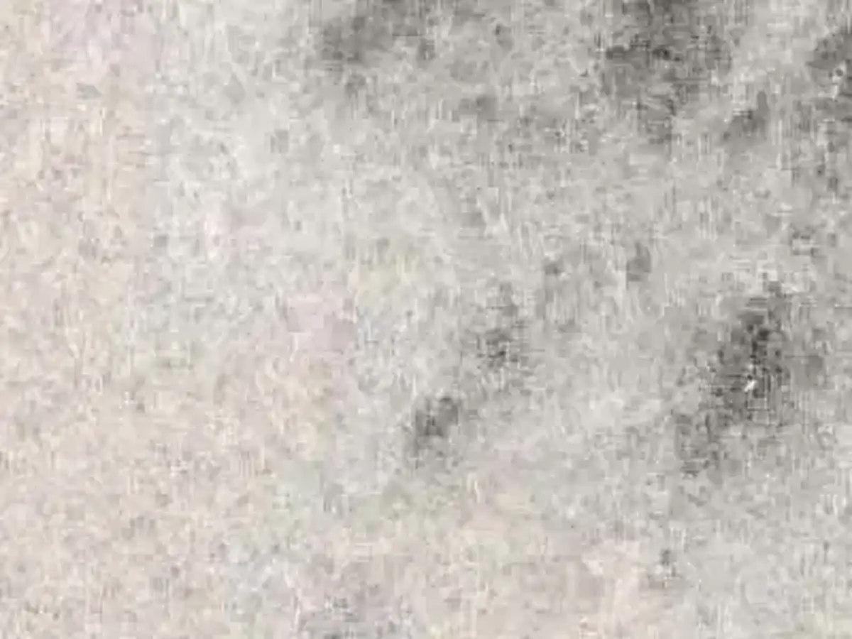Trilogy White marble polished sample – Marmi di Carrara – ivory, light grey (1)
