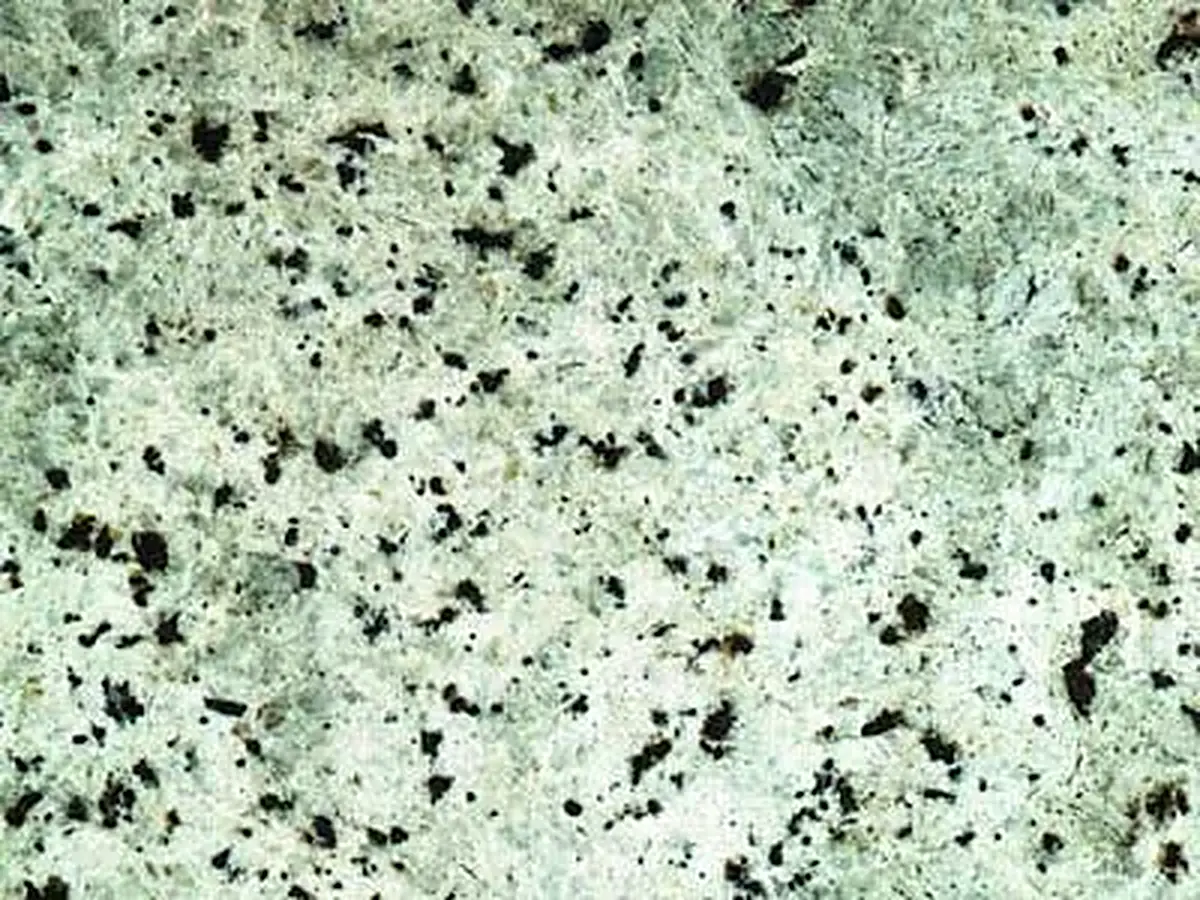 Tunas Sea Green granit, échantillon poli – Marmi di Carrara – gris clair, gris (1)