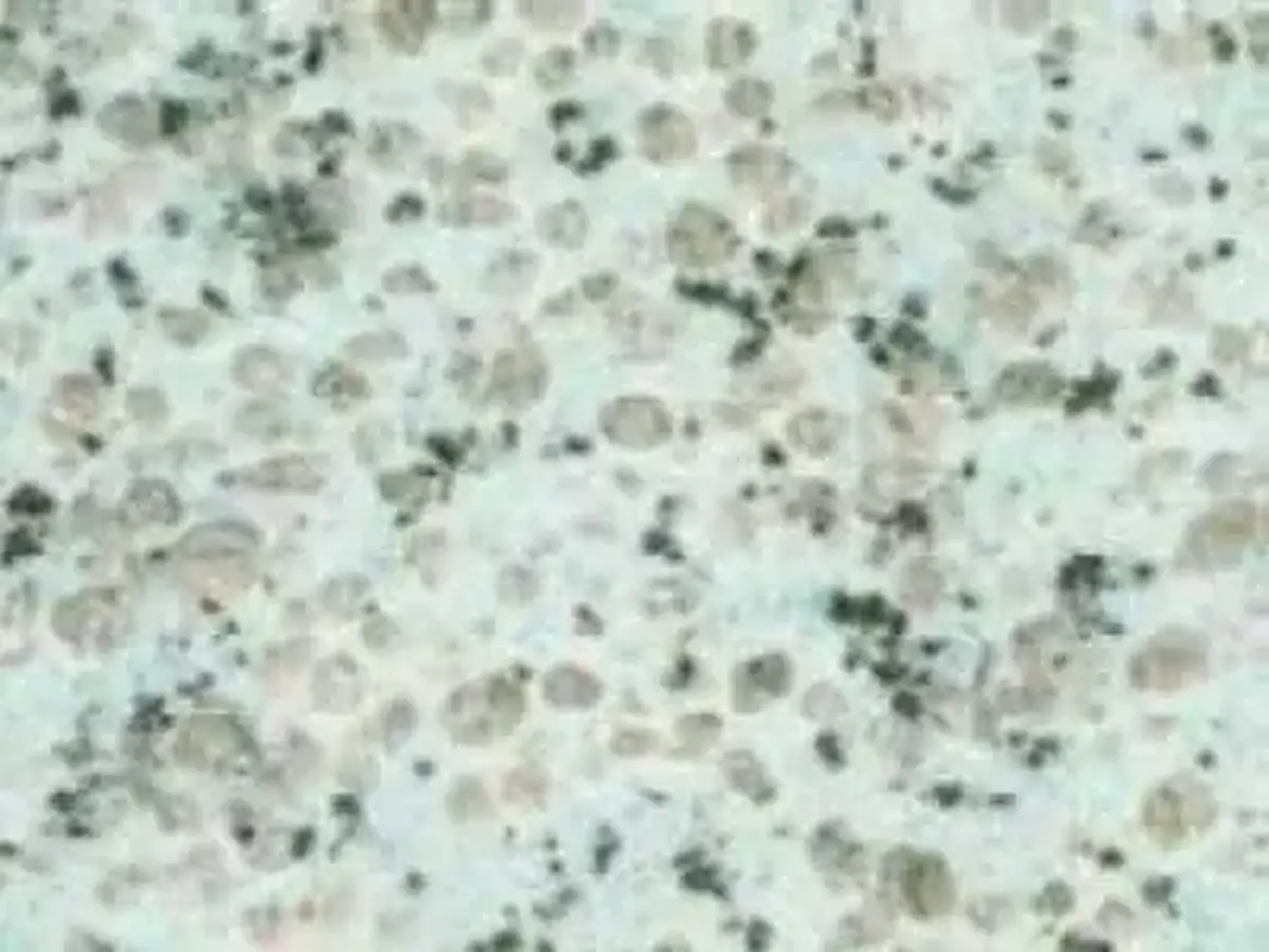 Tyn Shan Blue G 6501 granito, muestra pulida – Marmi di Carrara – marfil, gris claro (1)