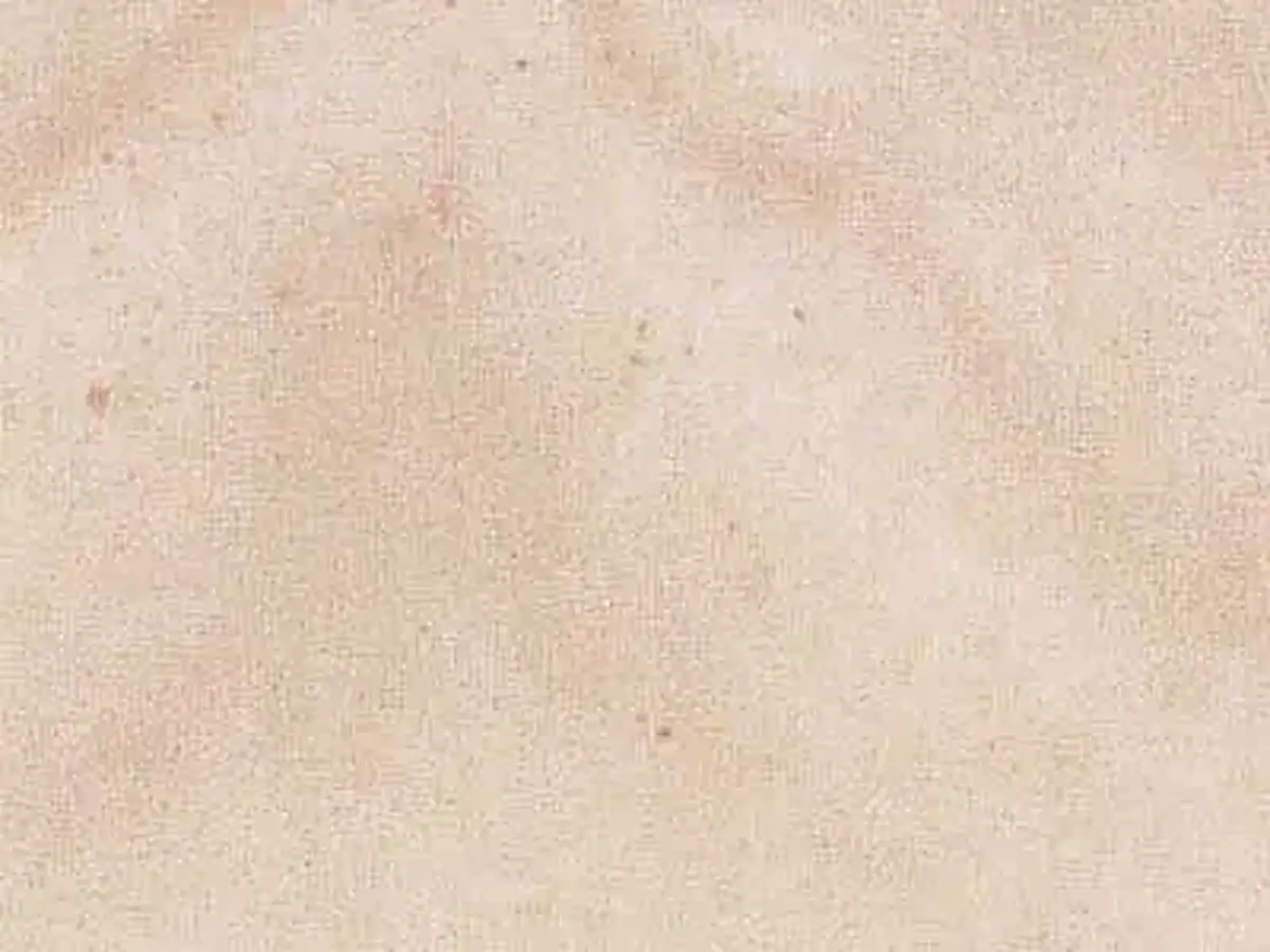 Ummendorfer Sandstein sandstone polished sample – Marmi di Carrara – ivory, beige (1)