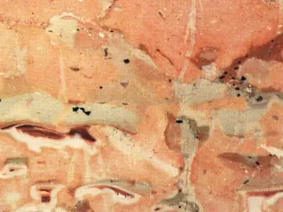 Valderice Rosa calcaire, échantillon poli – Marmi di Carrara – beige, doré (1)