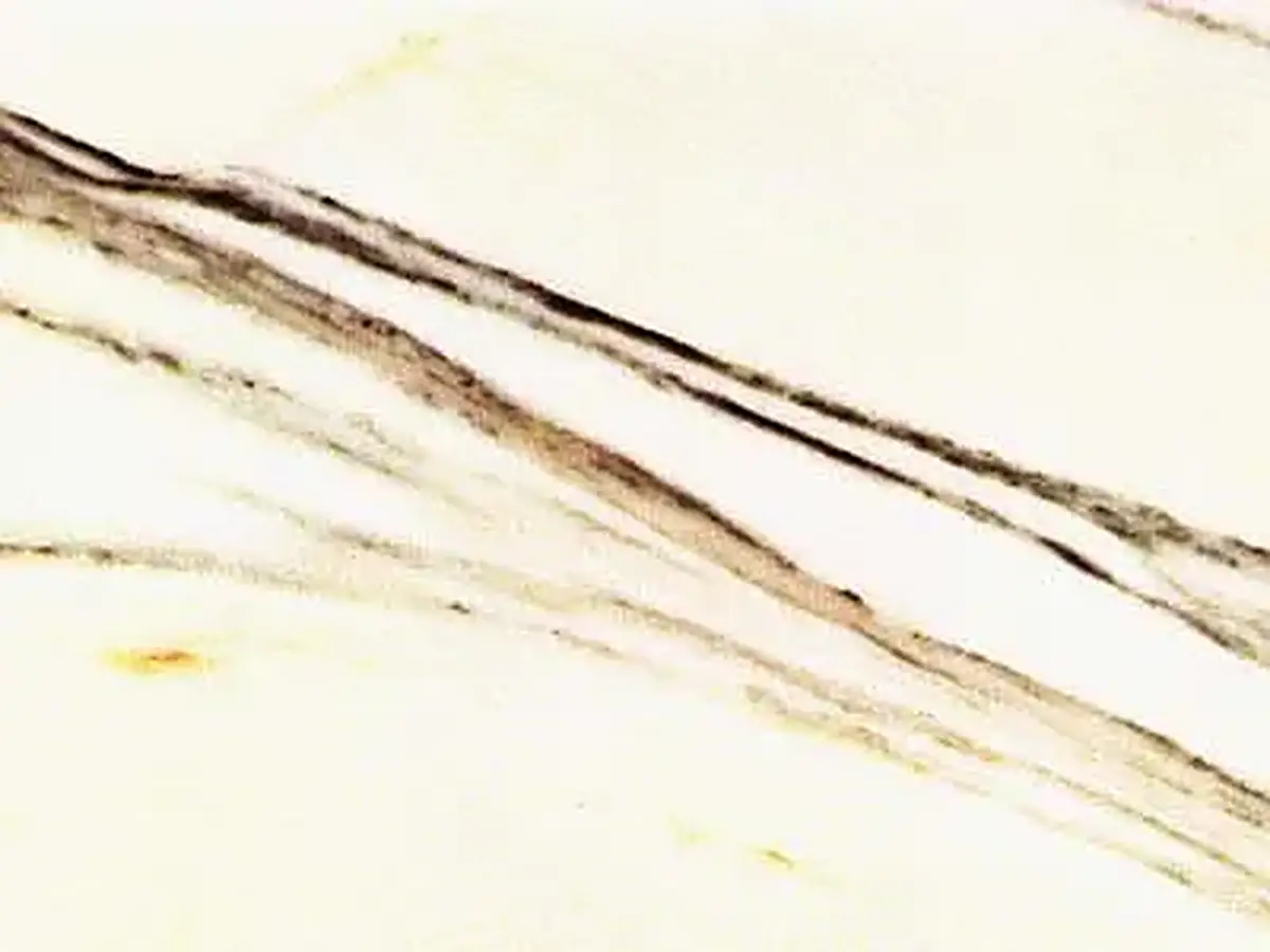 Venato Fantastico marble polished sample – Marmi di Carrara – white, beige (1)